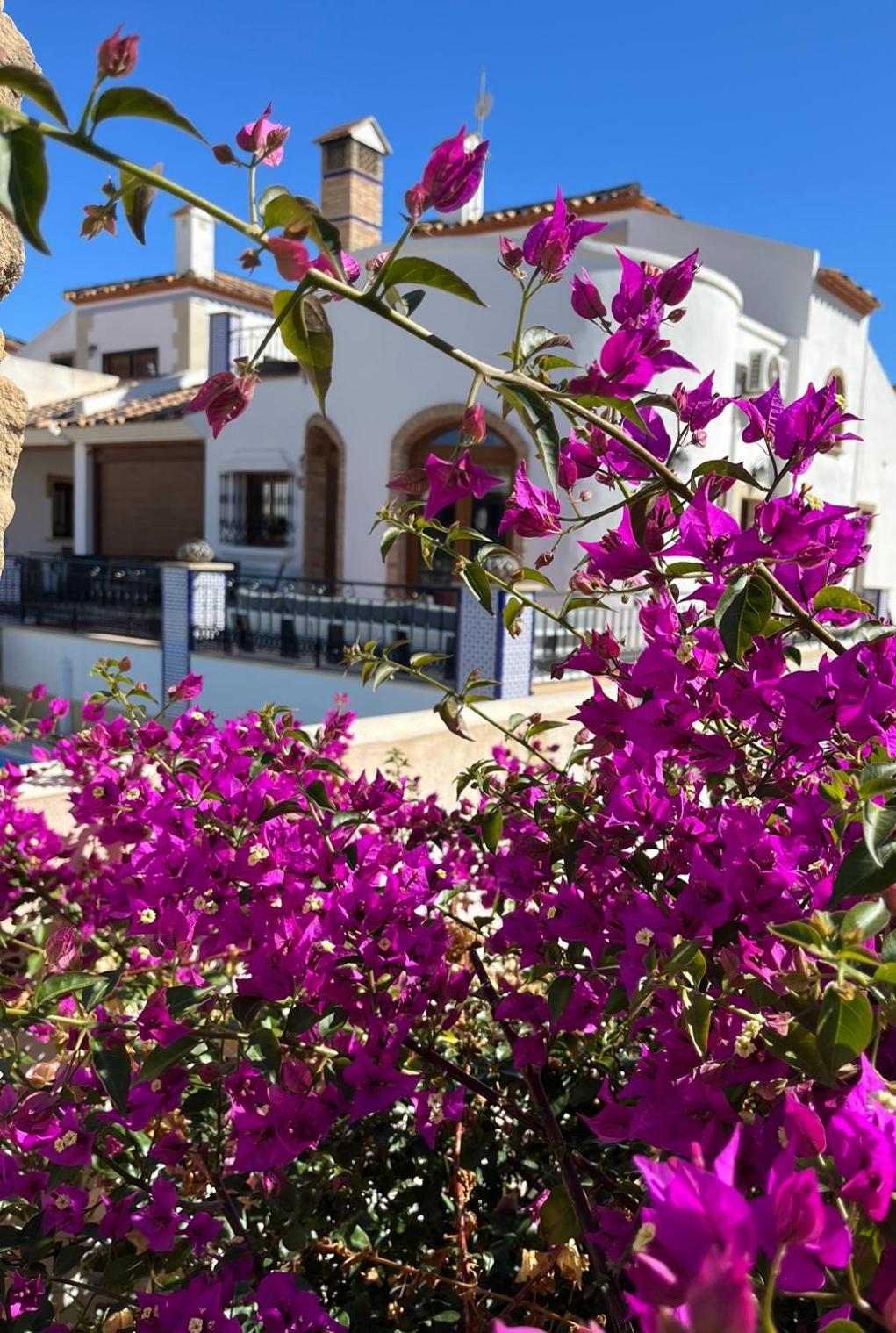 La Torre Alba - La Finca Golf Resort Algorfa Exterior foto